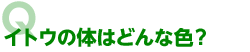 イトウの体はどんな色？