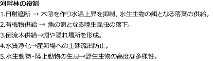 河畔林の役割　1.日射遮断 → 木陰を作り水温上昇を抑制。水生生物の餌となる落葉の供給。　2.有機物供給 → 魚の餌となる陸生昆虫の落下。　3.倒流木供給→淵や隠れ場所を形成。　4.水質浄化→産卵場への土砂流出防止。　5.水生動物・陸上動物の生息→野生生物の高度な多様性。