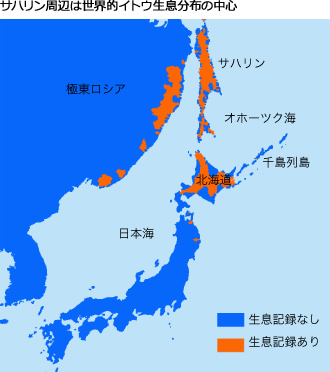 サハリン周辺は世界的イトウ生息分布の中心